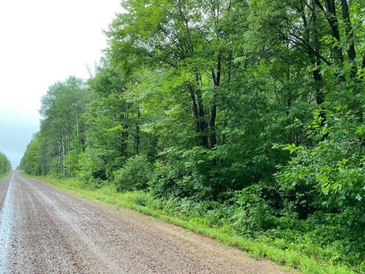 Picture of Residential Land For Sale in Merrill, Wisconsin, United States