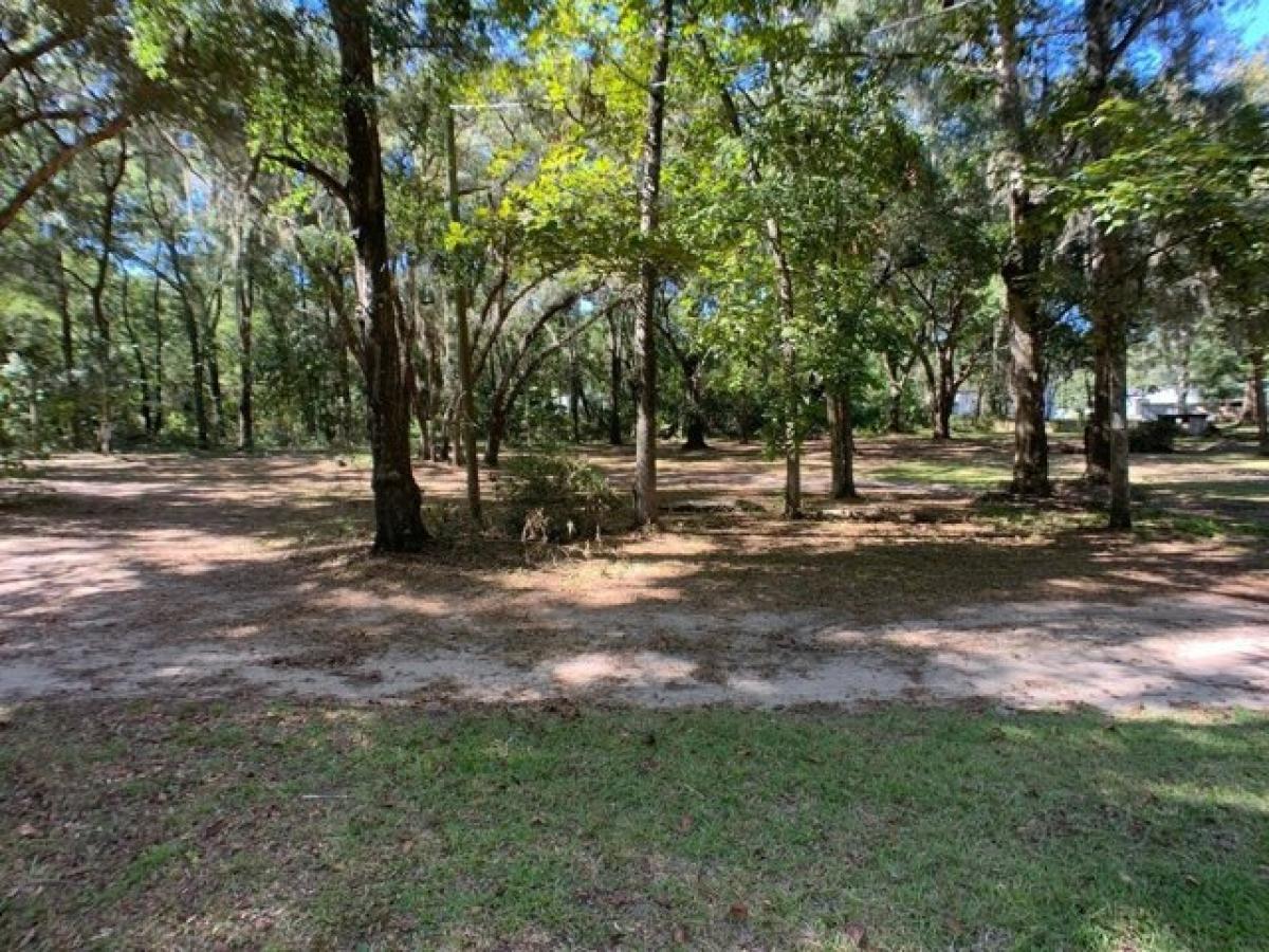 Picture of Residential Land For Sale in Reddick, Florida, United States