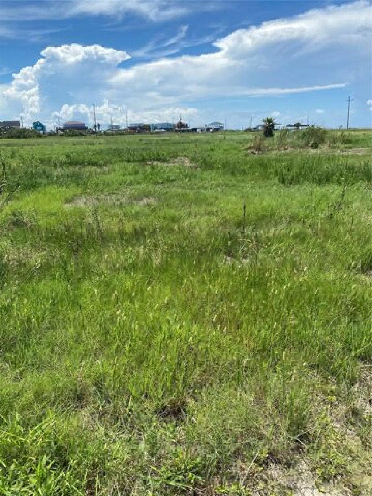 Picture of Residential Land For Sale in Gilchrist, Texas, United States