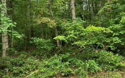 Residential Land For Sale in Turtletown, Tennessee