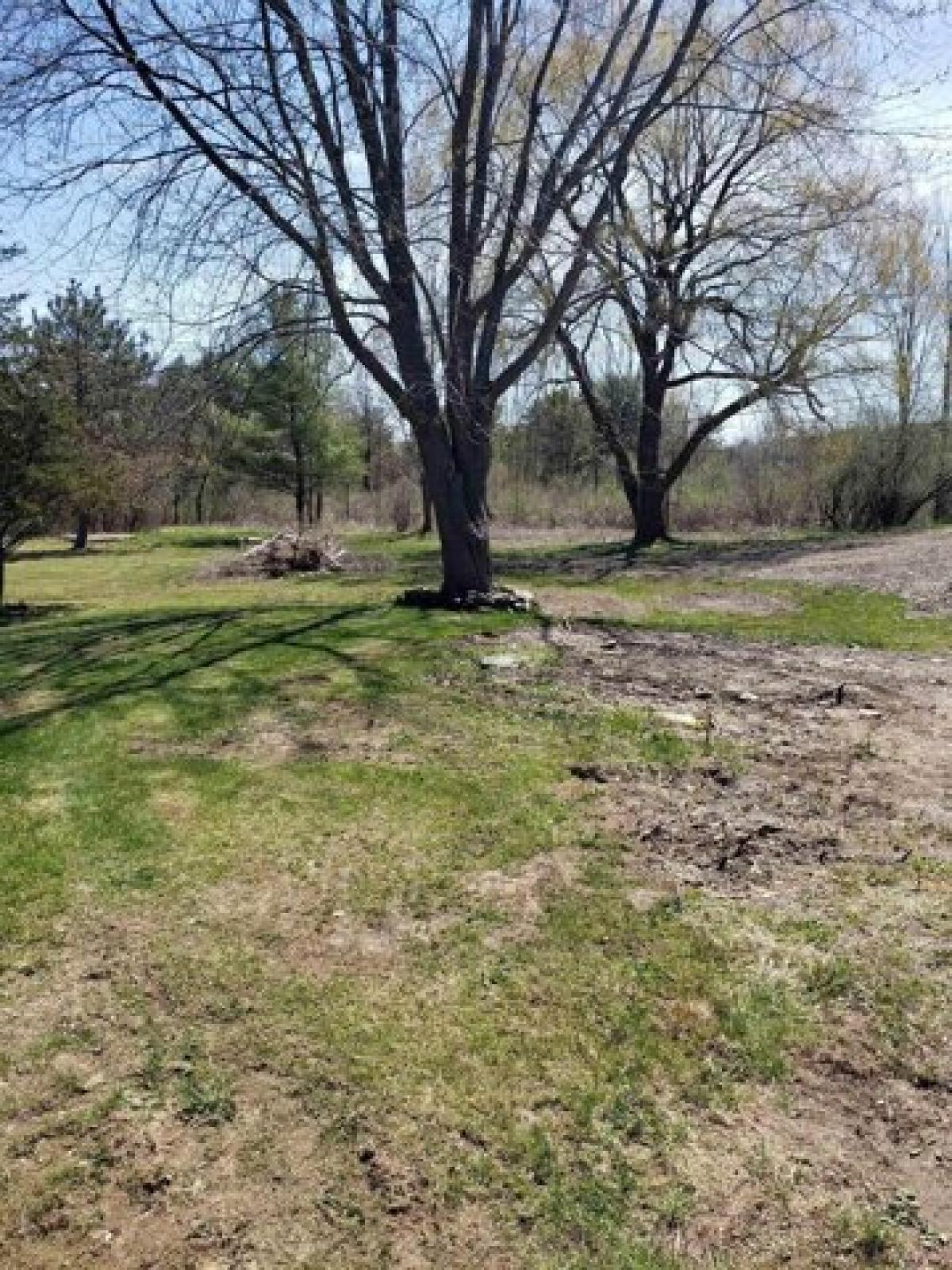 Picture of Residential Land For Sale in Westerlo, New York, United States