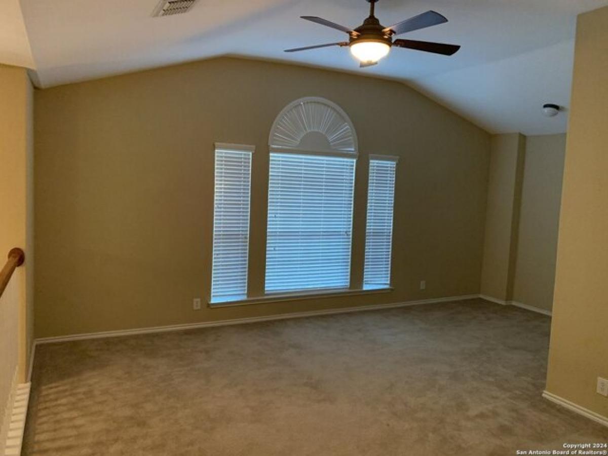 Picture of Home For Rent in Cibolo, Texas, United States