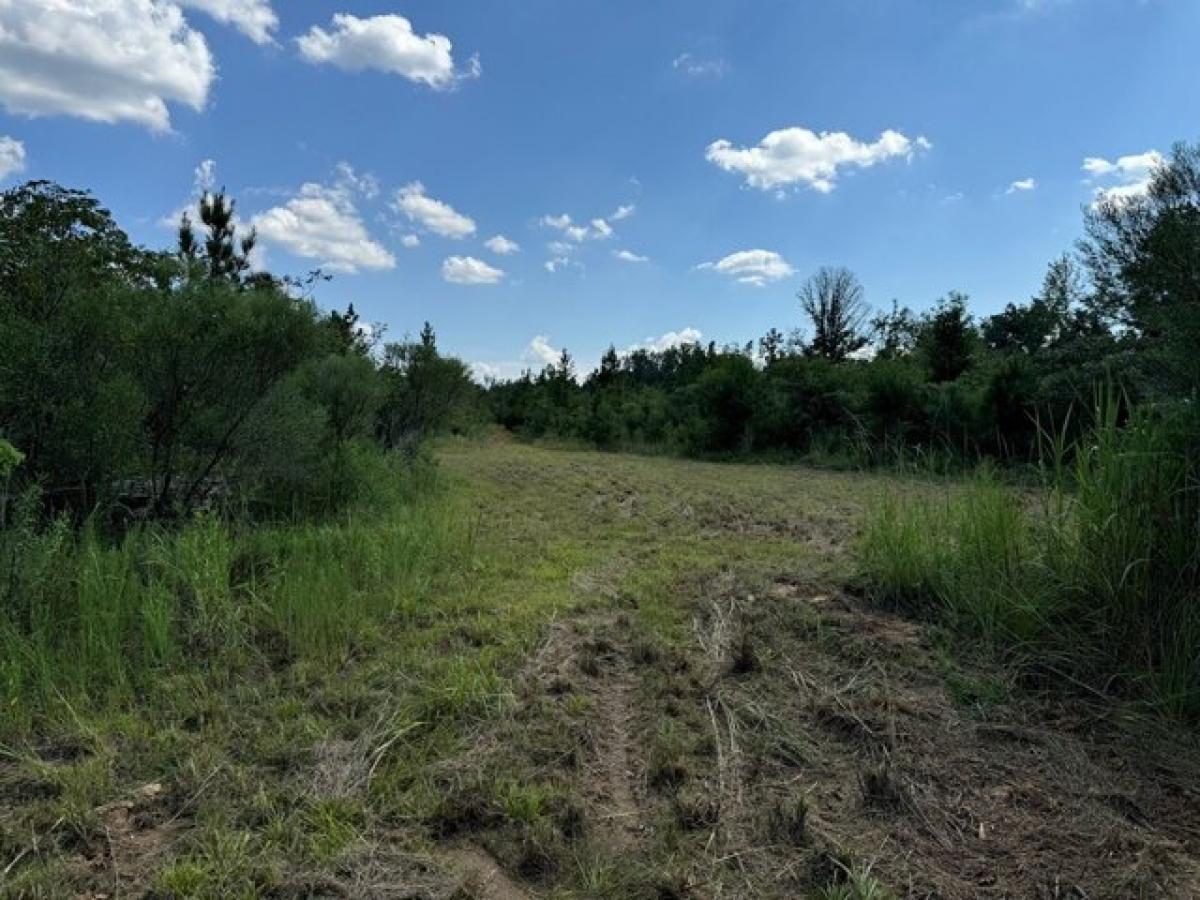 Picture of Residential Land For Sale in Brookhaven, Mississippi, United States