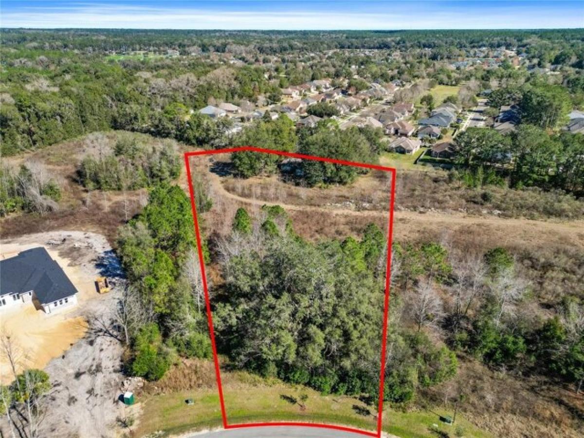 Picture of Residential Land For Sale in Newberry, Florida, United States