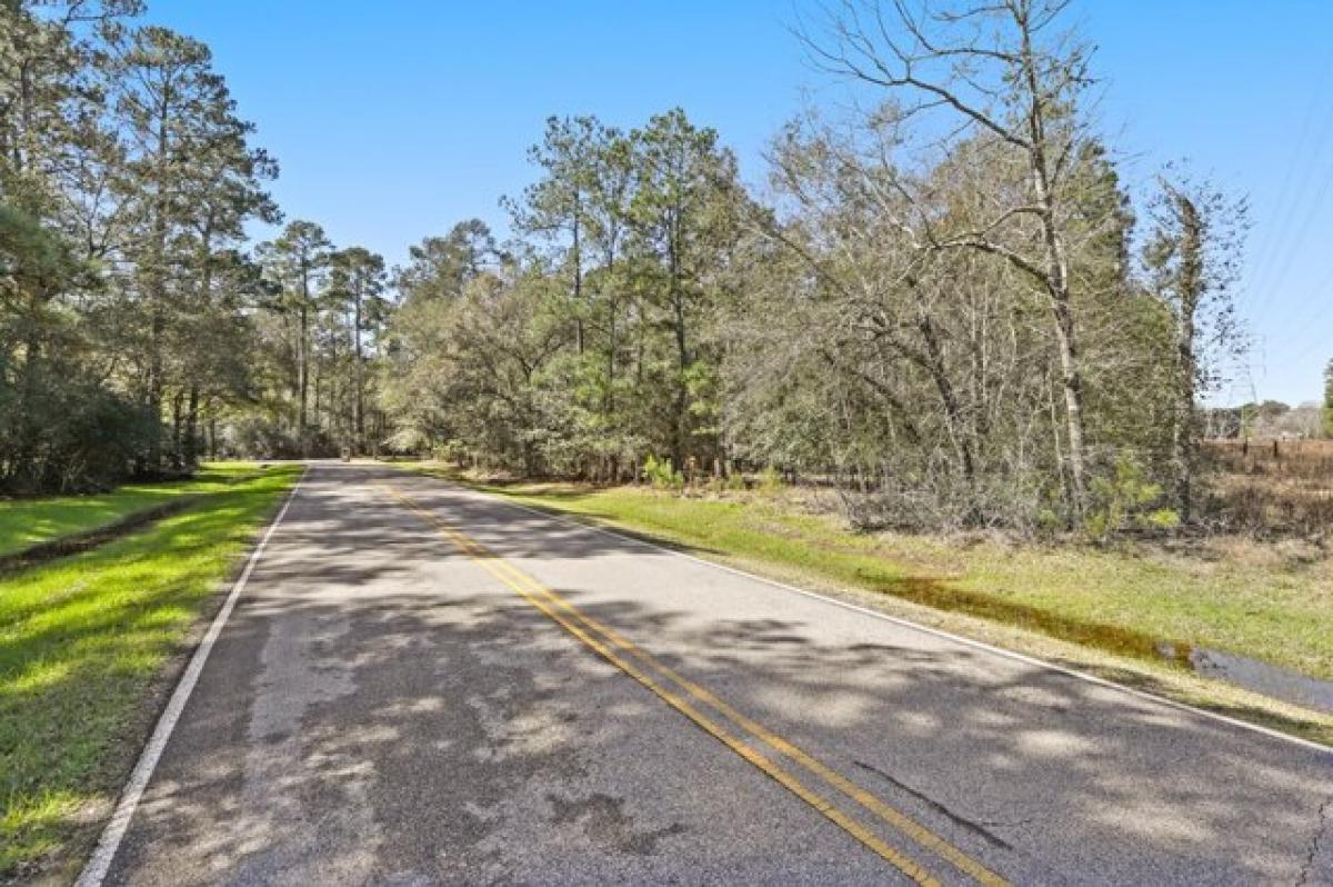 Picture of Residential Land For Sale in Tomball, Texas, United States