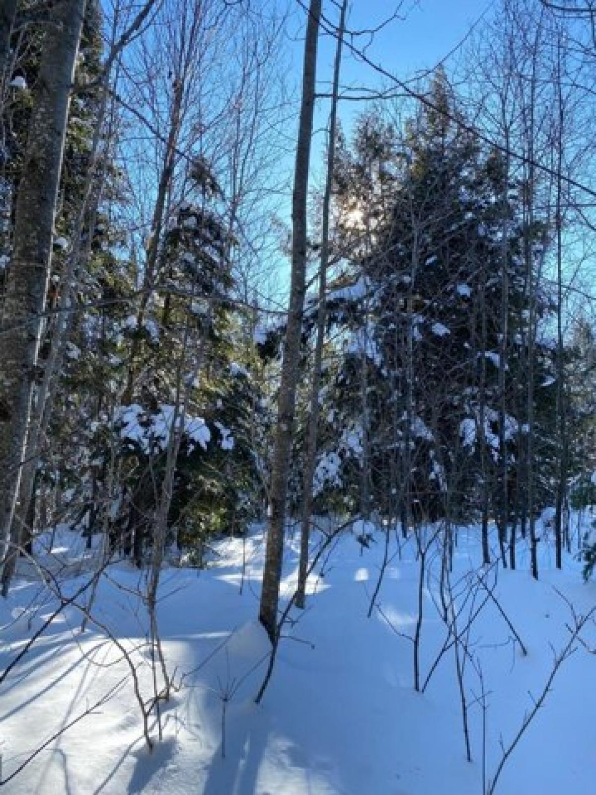 Picture of Residential Land For Sale in Park Falls, Wisconsin, United States