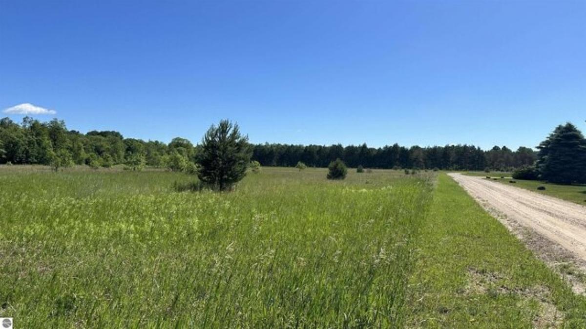 Picture of Residential Land For Sale in Kalkaska, Michigan, United States