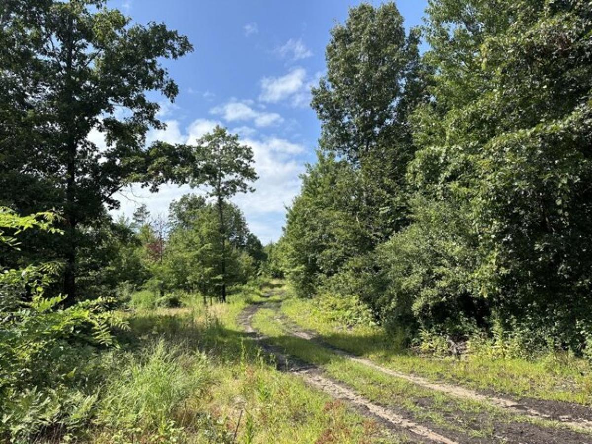 Picture of Residential Land For Sale in Hart, Michigan, United States