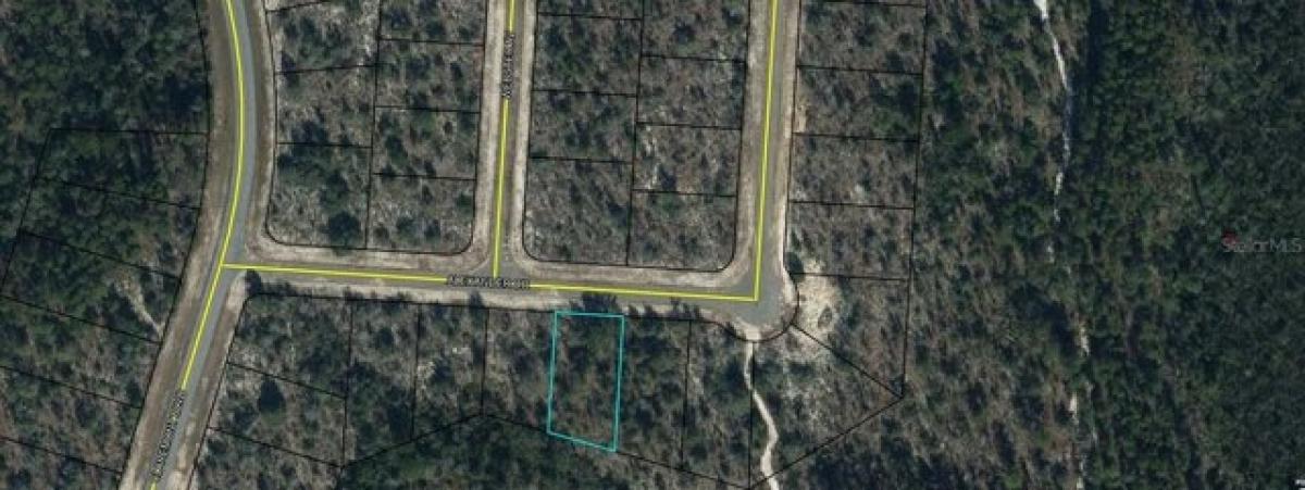 Picture of Residential Land For Rent in Chipley, Florida, United States