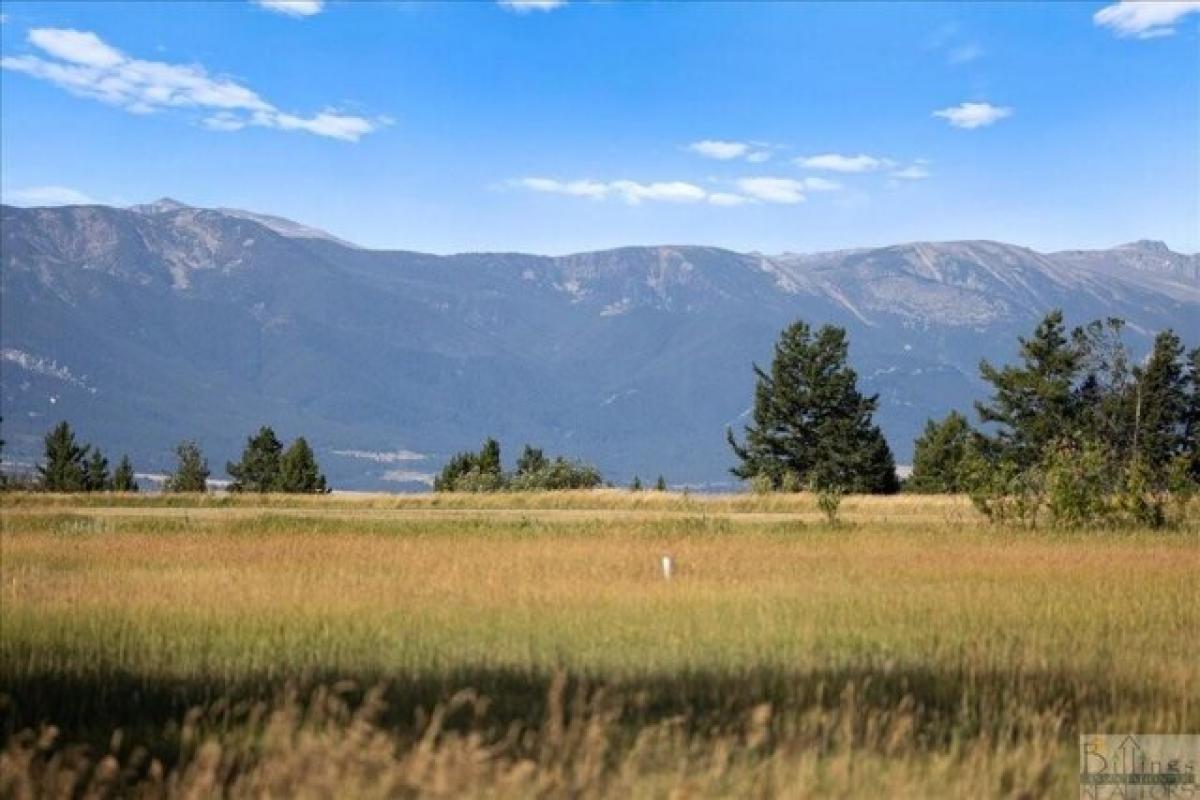 Picture of Residential Land For Sale in Roberts, Montana, United States