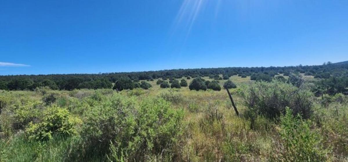 Picture of Residential Land For Sale in Tijeras, New Mexico, United States