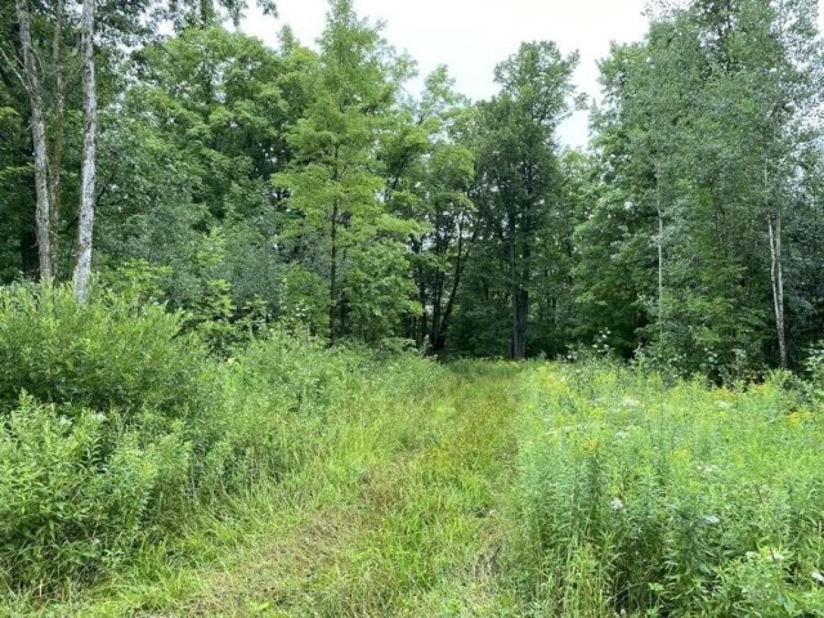 Picture of Residential Land For Sale in Merrill, Wisconsin, United States