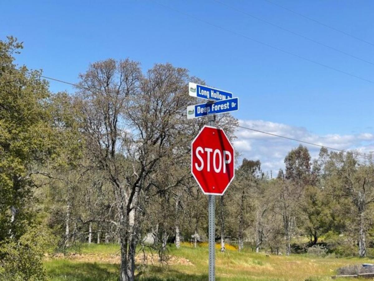 Picture of Residential Land For Sale in Coarsegold, California, United States