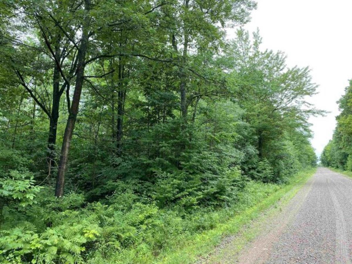 Picture of Residential Land For Sale in Merrill, Wisconsin, United States