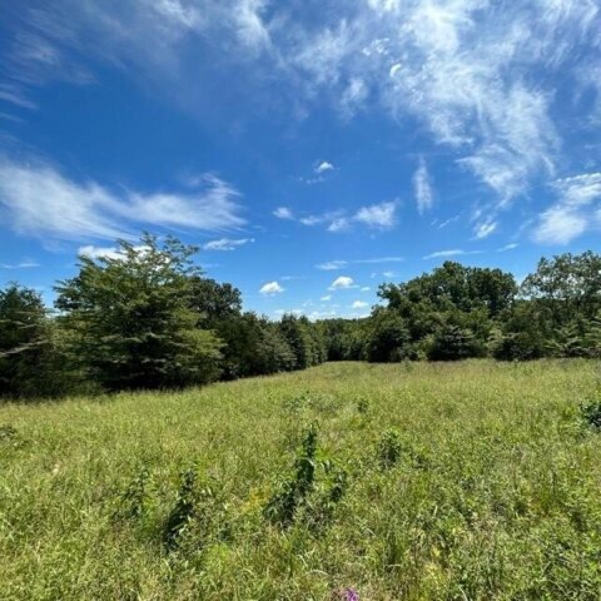 Picture of Residential Land For Sale in Tebbetts, Missouri, United States