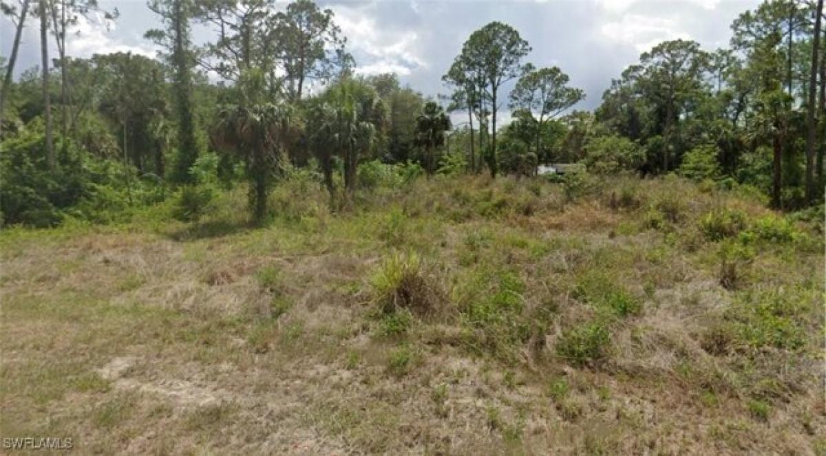 Picture of Residential Land For Sale in Alva, Florida, United States