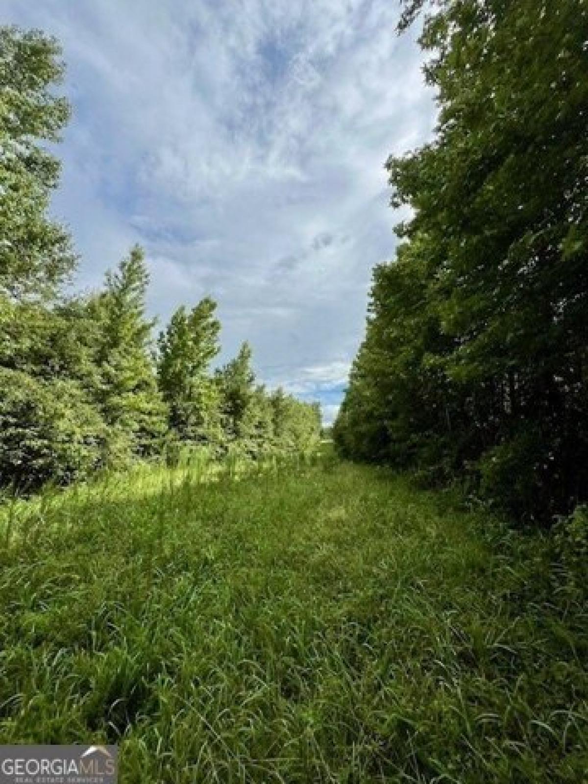 Picture of Residential Land For Sale in Manchester, Georgia, United States