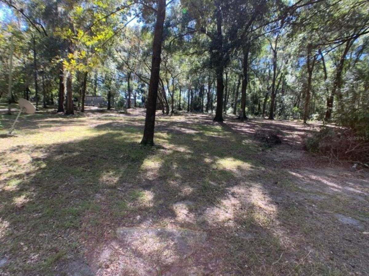 Picture of Residential Land For Sale in Reddick, Florida, United States