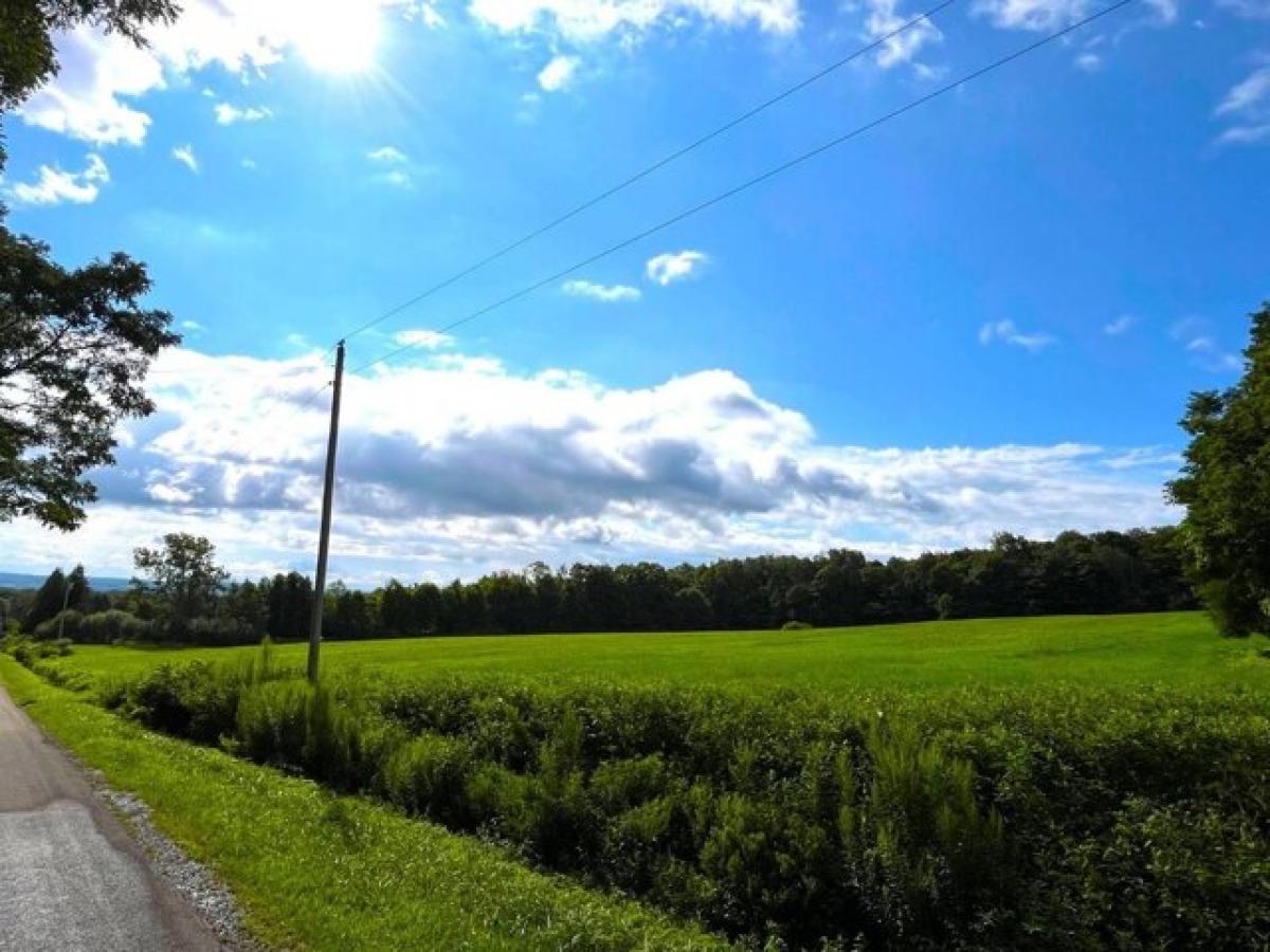 Picture of Home For Sale in Cherry Creek, New York, United States