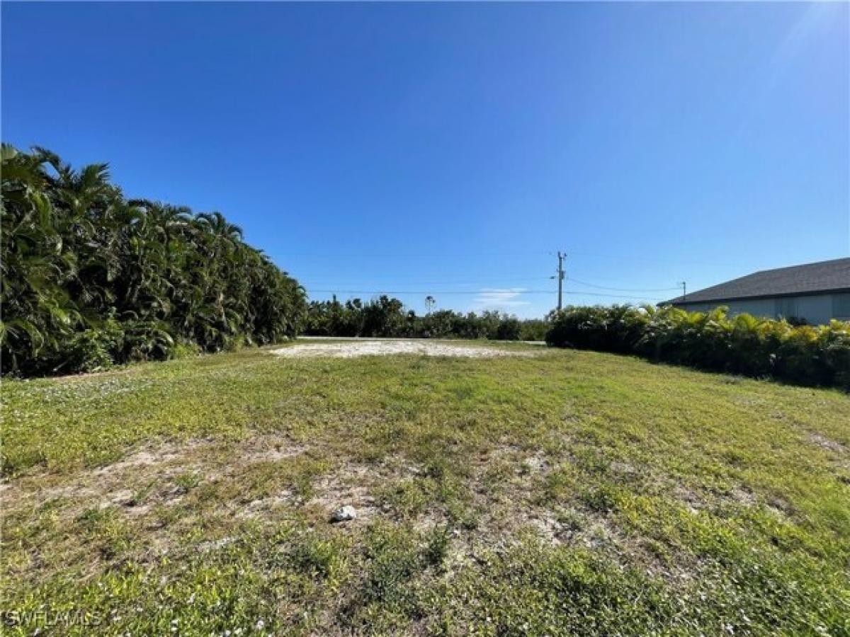 Picture of Residential Land For Sale in Saint James City, Florida, United States