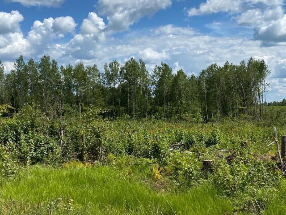 Picture of Residential Land For Sale in Merrill, Wisconsin, United States