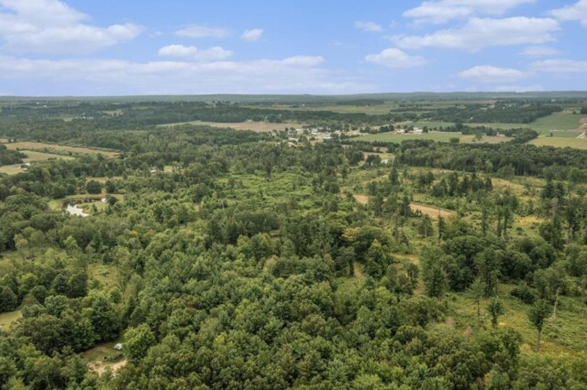 Picture of Residential Land For Sale in Hart, Michigan, United States