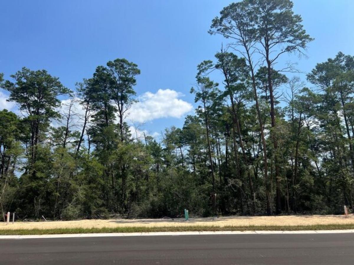 Picture of Residential Land For Sale in Niceville, Florida, United States