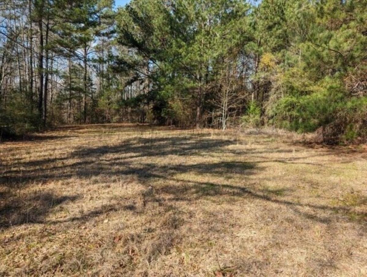 Picture of Residential Land For Sale in Liberty, Mississippi, United States