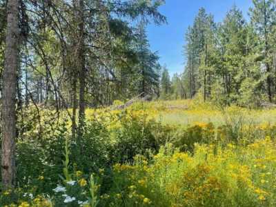 Residential Land For Sale in Newport, Washington