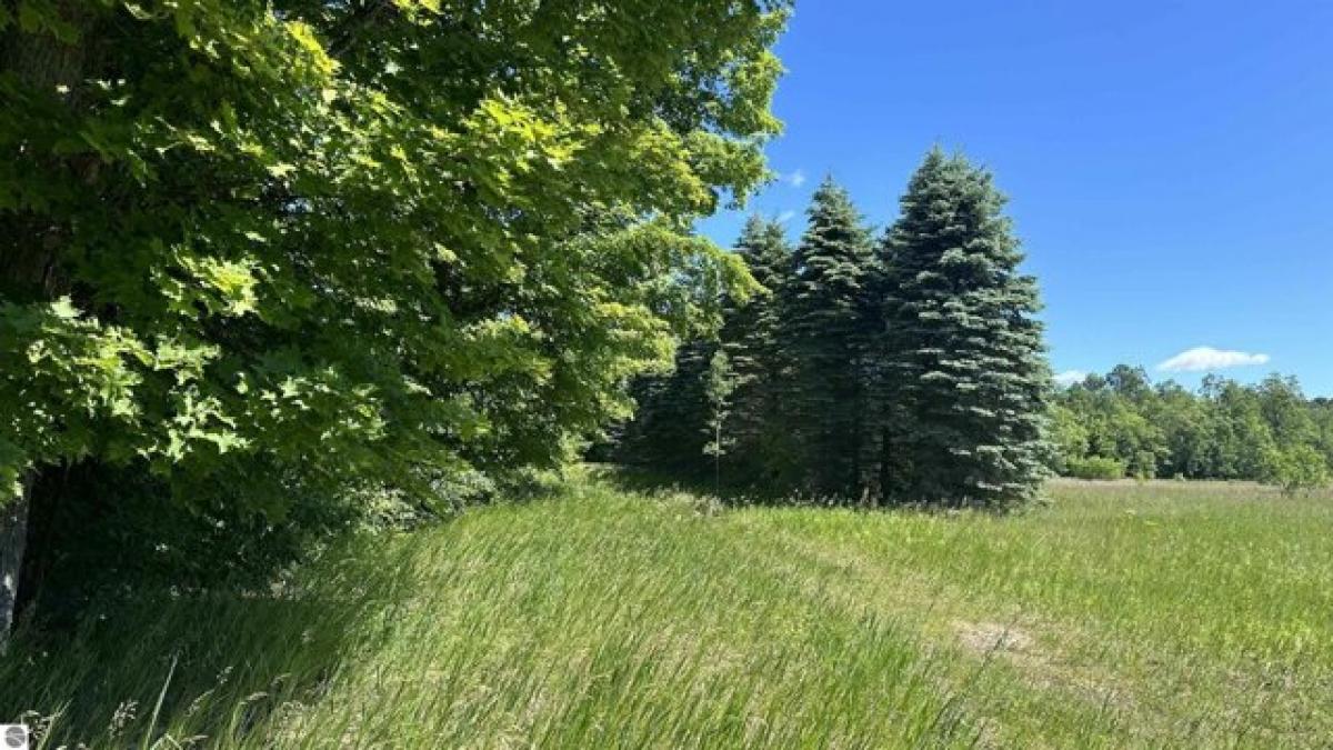 Picture of Residential Land For Sale in Kalkaska, Michigan, United States