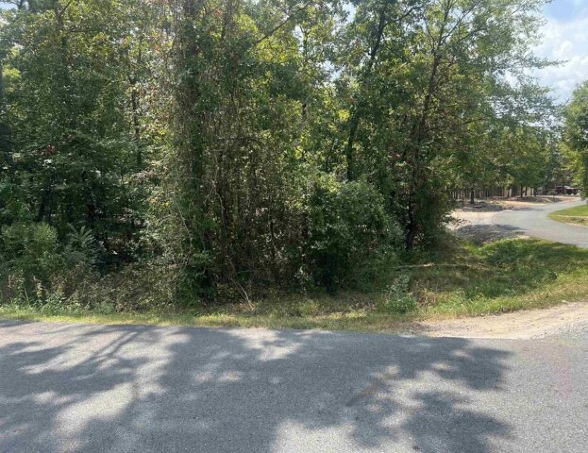 Picture of Residential Land For Sale in Hot Springs Village, Arkansas, United States