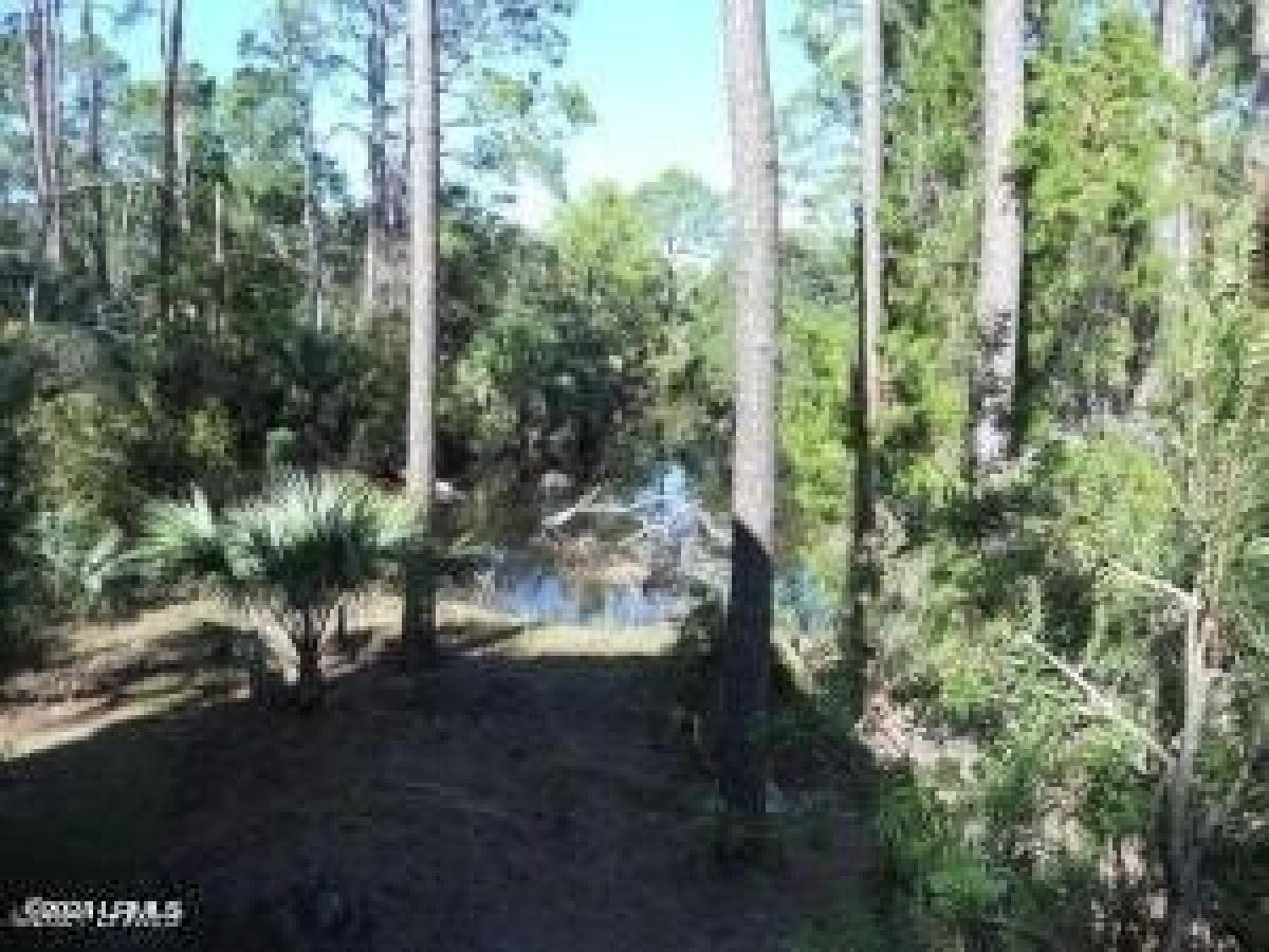 Picture of Residential Land For Sale in Saint Helena Island, South Carolina, United States