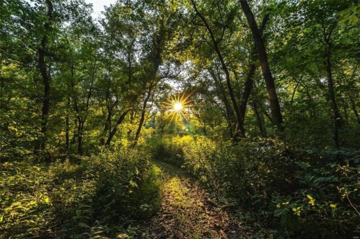 Picture of Home For Sale in Leasburg, Missouri, United States