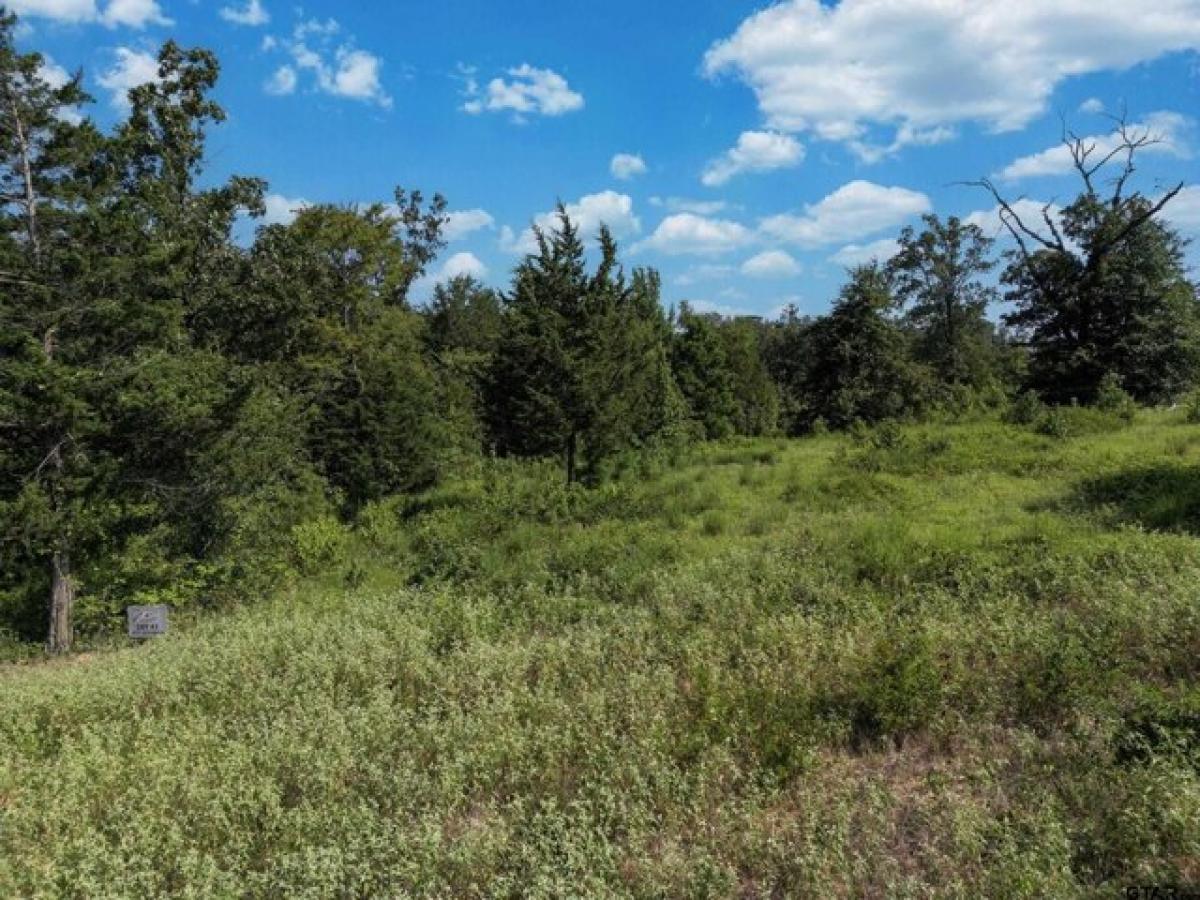 Picture of Residential Land For Sale in Winona, Texas, United States