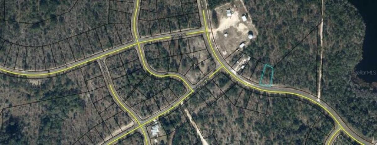 Picture of Residential Land For Rent in Chipley, Florida, United States