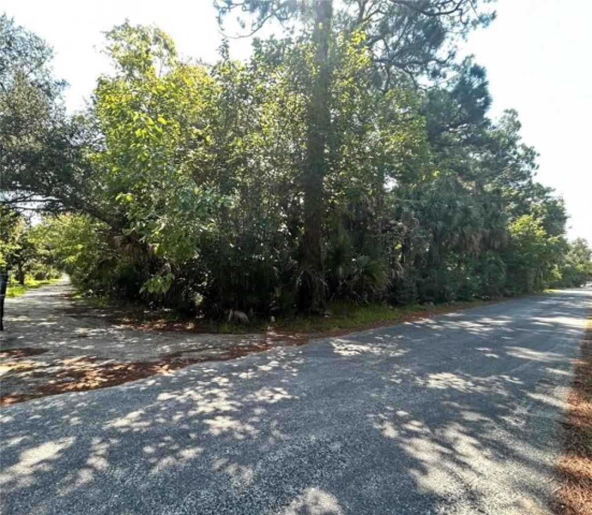 Picture of Residential Land For Sale in Edgewater, Florida, United States