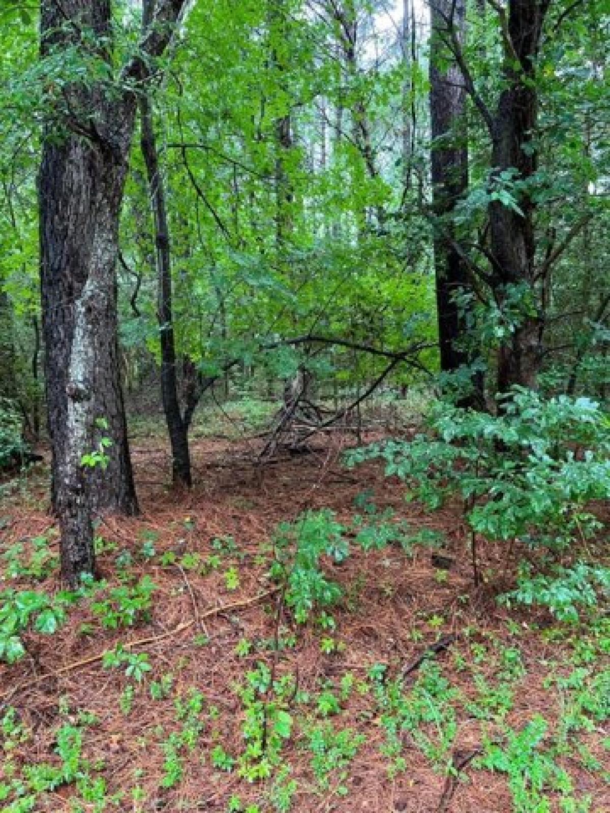 Picture of Residential Land For Sale in Heathsville, Virginia, United States