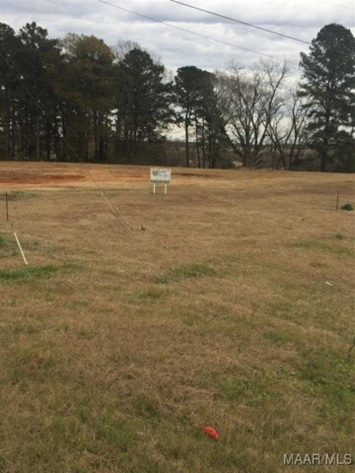 Picture of Residential Land For Sale in Greenville, Alabama, United States