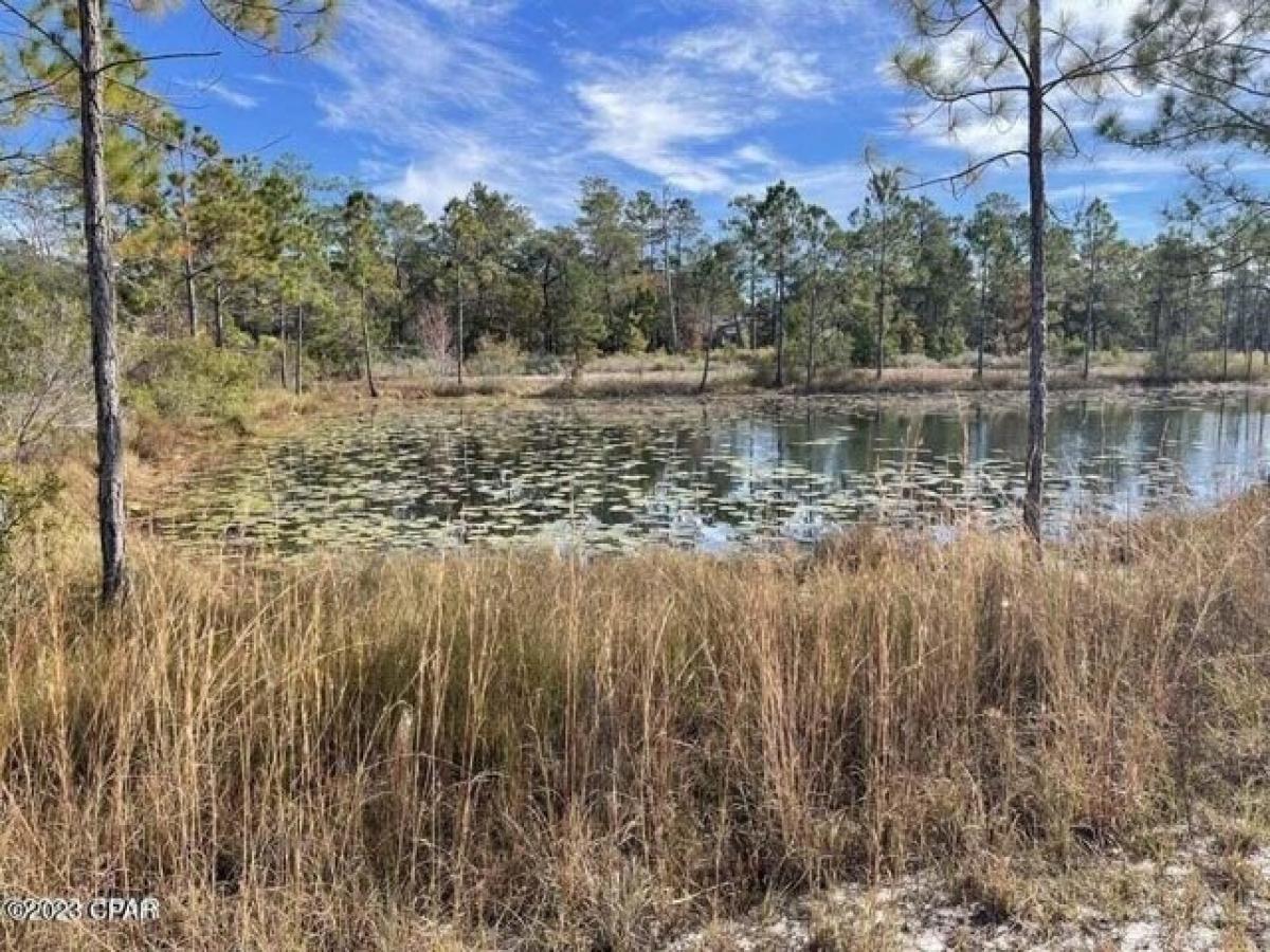 Picture of Residential Land For Sale in Panama City Beach, Florida, United States