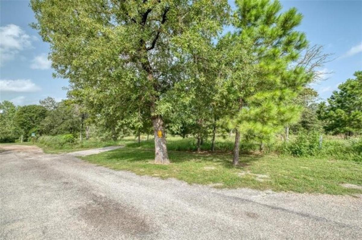 Picture of Residential Land For Sale in Bastrop, Texas, United States