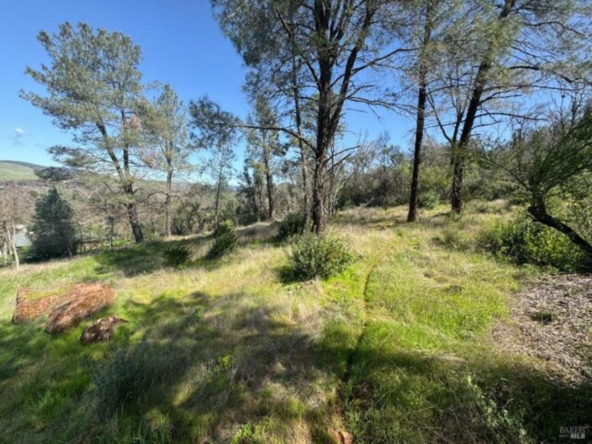 Picture of Residential Land For Sale in Clearlake, California, United States