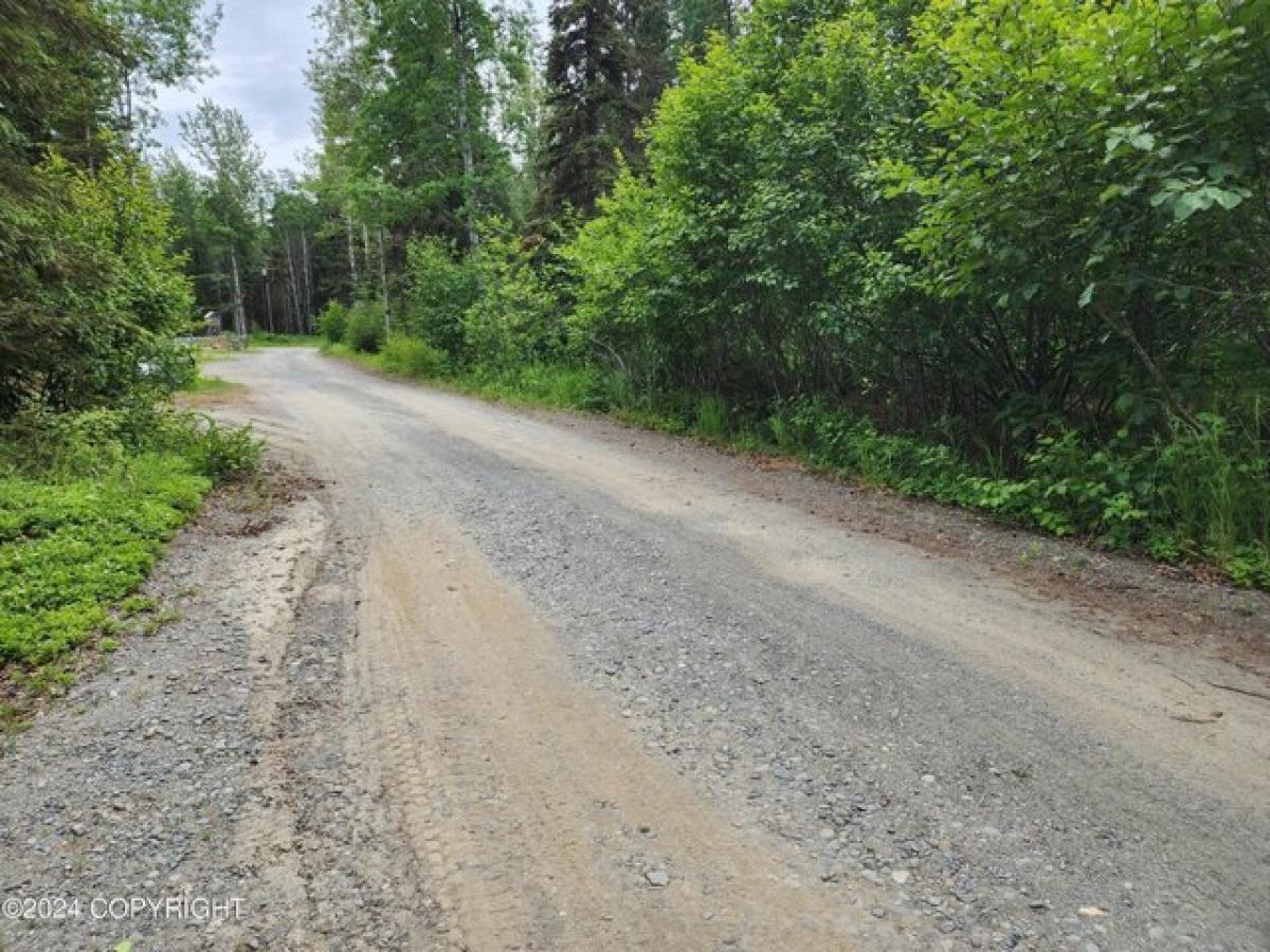 Picture of Residential Land For Sale in Kasilof, Alaska, United States