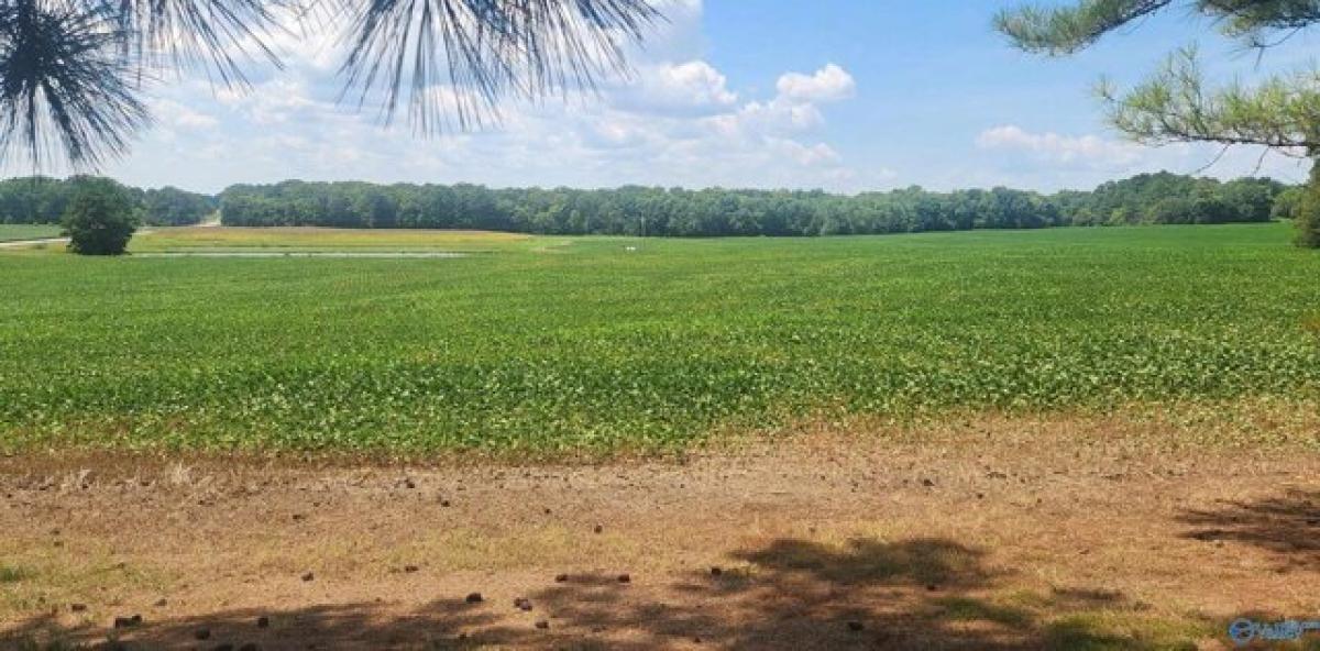 Picture of Residential Land For Sale in Decatur, Alabama, United States