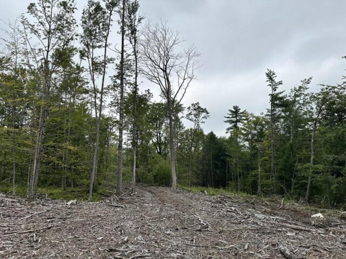 Picture of Residential Land For Sale in Parsonsfield, Maine, United States