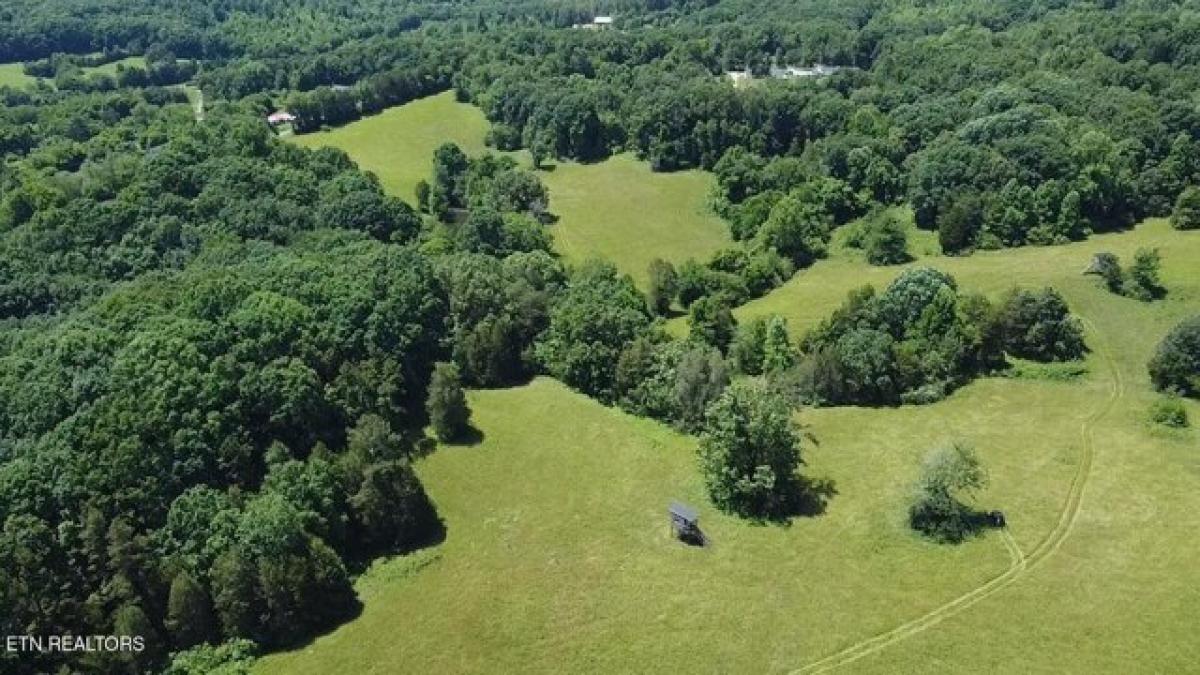 Picture of Residential Land For Sale in Loudon, Tennessee, United States