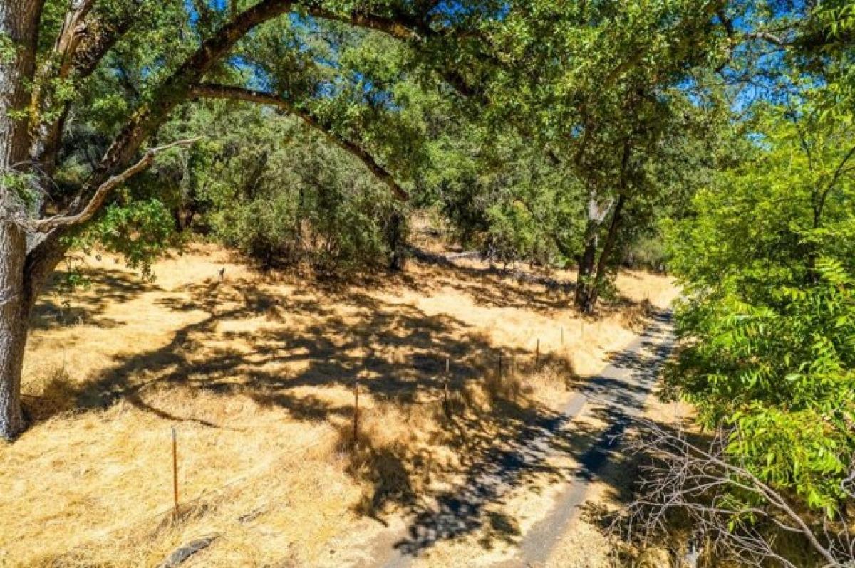 Picture of Residential Land For Sale in Shingle Springs, California, United States