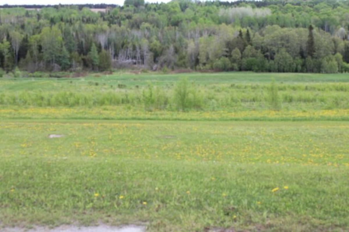 Picture of Residential Land For Sale in Washburn, Maine, United States