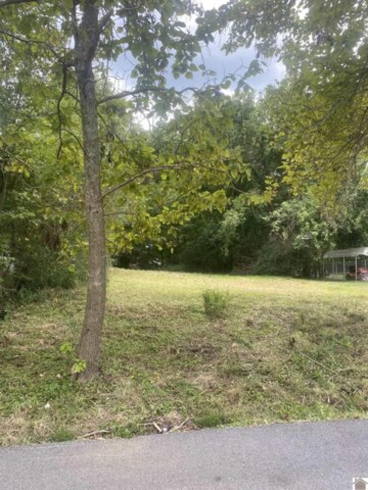 Picture of Residential Land For Sale in Princeton, Kentucky, United States