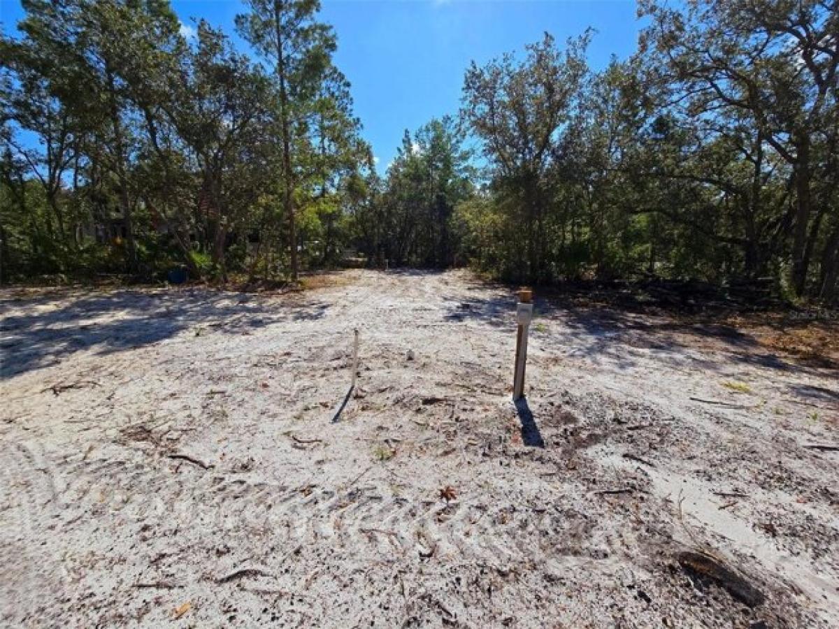 Picture of Residential Land For Sale in Steinhatchee, Florida, United States