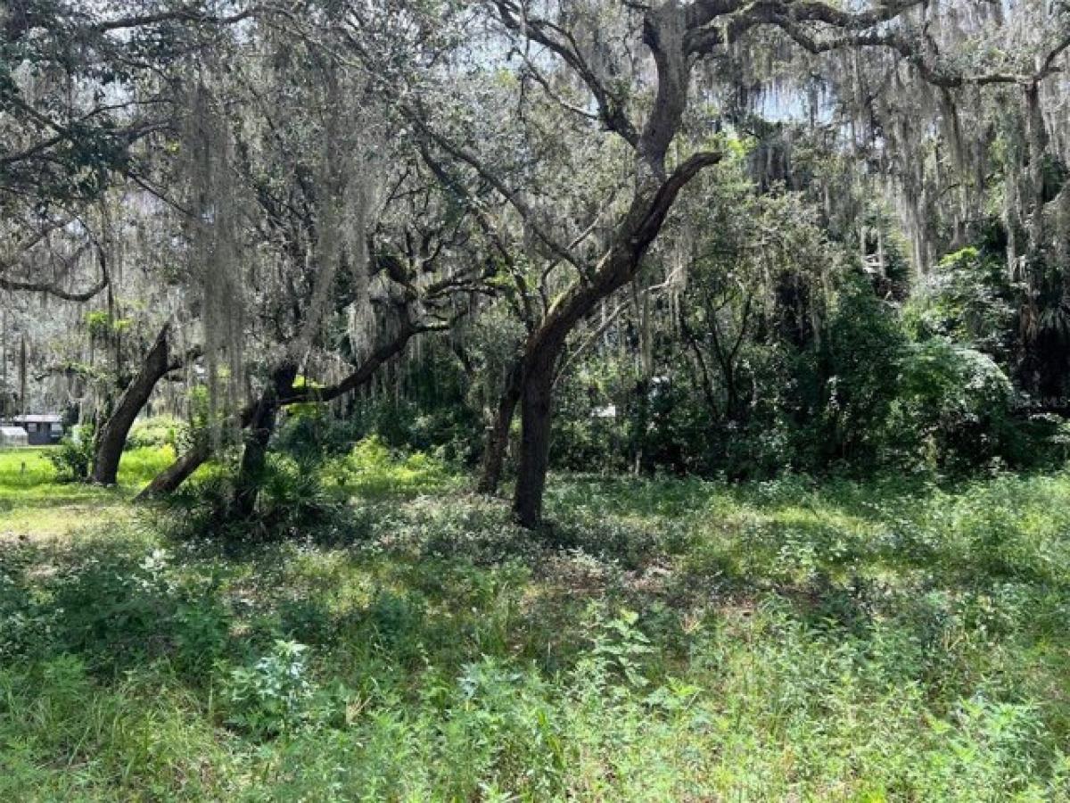 Picture of Residential Land For Sale in Lake Panasoffkee, Florida, United States